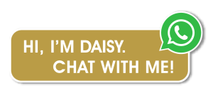 daisy-whatsapp-icon